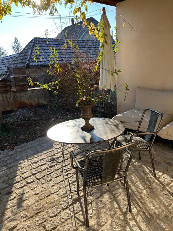 Studio De Charme Avec Terrasse Privee, Jardin Partage Bouxwiller  Exterior photo